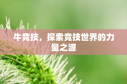 牛竞技，探索竞技世界的力量之源