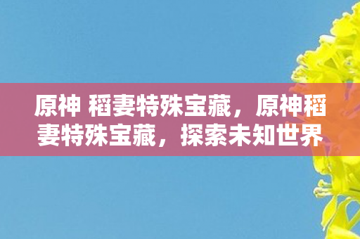 原神 稻妻特殊宝藏，原神稻妻特殊宝藏，探索未知世界的神秘宝藏