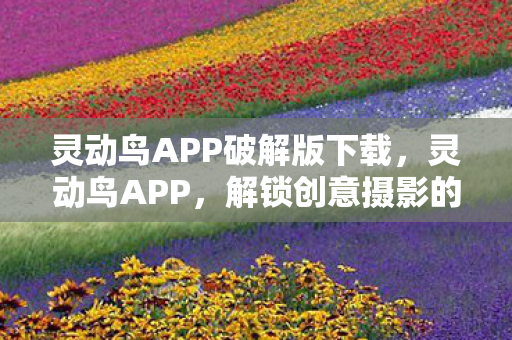 灵动鸟APP破解版下载,灵动鸟APP,解锁创意摄影的无限可能 灵动鸟APP破解版下载,灵动鸟APP,解锁创意摄影的无限可能