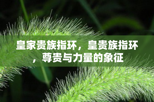 皇家贵族指环，皇贵族指环，尊贵与力量的象征