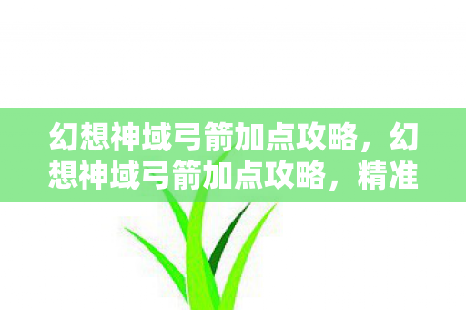 幻想神域弓箭加点攻略，幻想神域弓箭加点攻略，精准提升战斗效能