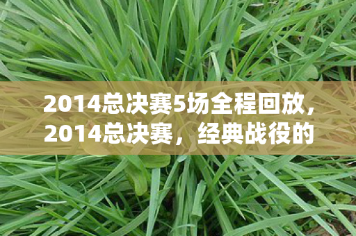 2014总决赛5场全程回放,2014总决赛,经典战役的回顾与解析 2014总决赛5场全程回放,2014总决赛,经典战役的回顾与解析