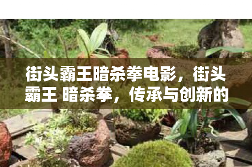 街头霸王暗杀拳电影,街头霸王 暗杀拳,传承与创新的格斗艺术 街头霸王暗杀拳电影,街头霸王 暗杀拳,传承与创新的格斗艺术