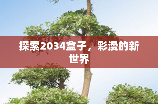 探索2034盒子，彩漫的新世界