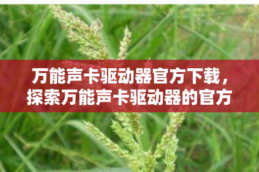 万能声卡驱动器官方下载，探索万能声卡驱动器的官方世界