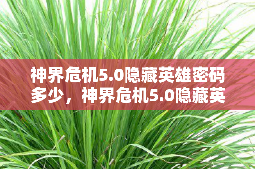 神界危机5.0隐藏英雄密码多少，神界危机5.0隐藏英雄密码揭秘，解锁未知力量的神秘钥匙