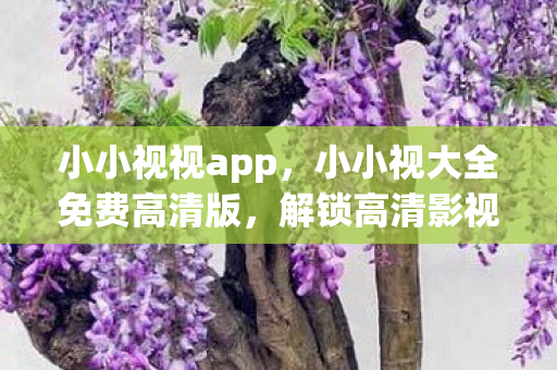 小小视视app,小小视大全免费高清版,解锁高清影视娱乐新体验 小小视视app,小小视大全免费高清版,解锁高清影视娱乐新体验