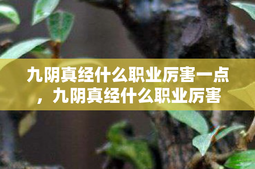 九阴真经什么职业厉害一点,九阴真经什么职业厉害 九阴真经什么职业厉害一点,九阴真经什么职业厉害