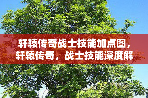 轩辕传奇战士技能加点图，轩辕传奇，战士技能深度解析