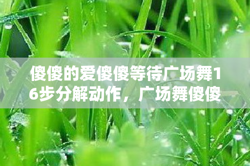 傻傻的爱傻傻等待广场舞16步分解动作，广场舞傻傻的爱，傻傻等待分解动作详解