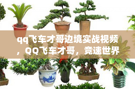 qq飞车才哥边境实战视频，QQ飞车才哥，竞速世界中的传奇车王