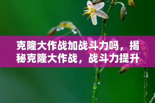 克隆大作战加战斗力吗，揭秘克隆大作战，战斗力提升机制大解析