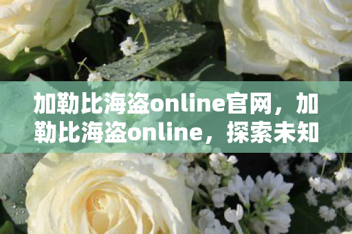 加勒比海盗online官网,加勒比海盗online,探索未知海域的冒险之旅 加勒比海盗online官网,加勒比海盗online,探索未知海域的冒险之旅