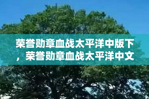 荣誉勋章血战太平洋中版下，荣誉勋章血战太平洋中文版，重温经典战役，感受历史震撼
