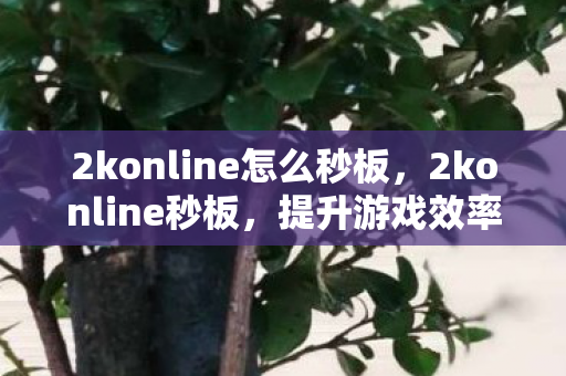 2konline怎么秒板,2konline秒板,提升游戏效率,享受极速体验 2konline怎么秒板,2konline秒板,提升游戏效率,享受极速体验