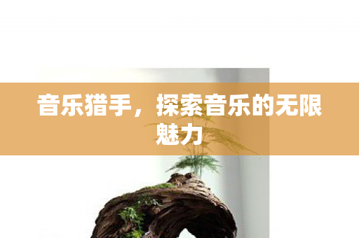 音乐猎手，探索音乐的无限魅力