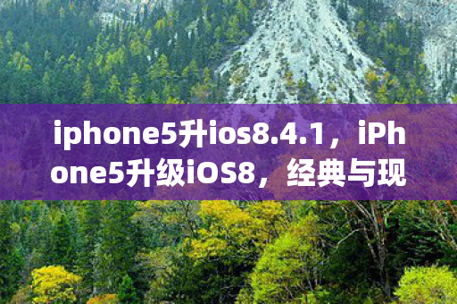 iphone5升ios8.4.1，iPhone5升级iOS8，经典与现代的碰撞