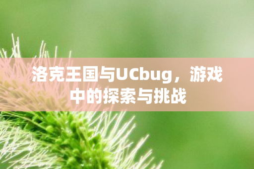 洛克王国与UCbug，游戏中的探索与挑战