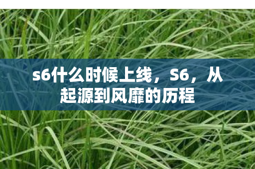 s6什么时候上线，S6，从起源到风靡的历程