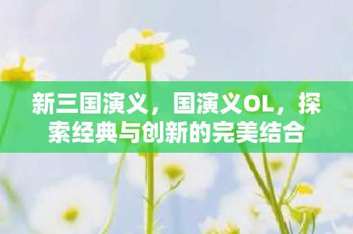 新三国演义，国演义OL，探索经典与创新的完美结合