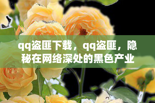 qq盗匪下载，qq盗匪，隐秘在网络深处的黑色产业