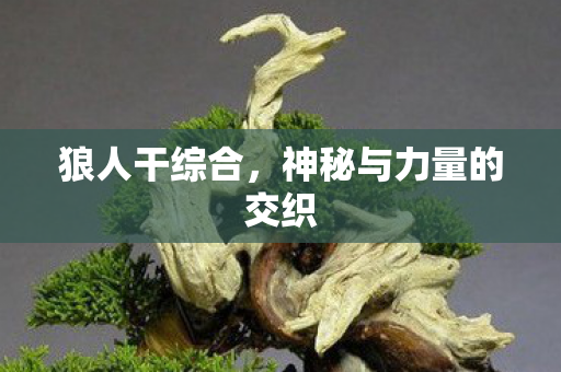 狼人干综合,神秘与力量的交织 狼人干综合,神秘与力量的交织