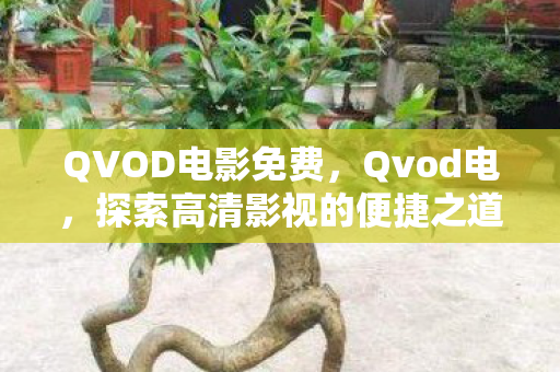 QVOD电影免费，Qvod电，探索高清影视的便捷之道
