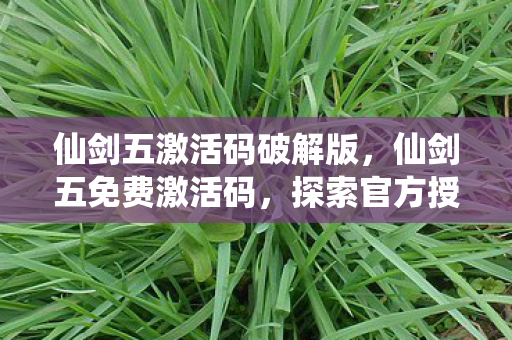 仙剑五激活码破解版,仙剑五免费激活码,探索官方授权的正版之路 仙剑五激活码破解版,仙剑五免费激活码,探索官方授权的正版之路