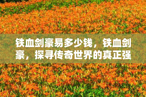 铁血剑豪易多少钱，铁血剑豪，探寻传奇世界的真正强者