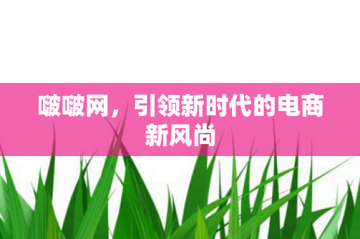 啵啵网,引领新时代的电商新风尚 啵啵网,引领新时代的电商新风尚