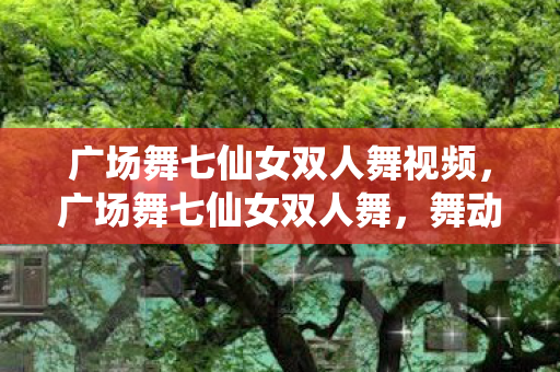 广场舞七仙女双人舞视频，广场舞七仙女双人舞，舞动生活的艺术
