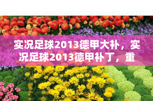 实况足球2013德甲大补,实况足球2013德甲补丁,重塑绿茵场的辉煌 实况足球2013德甲大补,实况足球2013德甲补丁,重塑绿茵场的辉煌