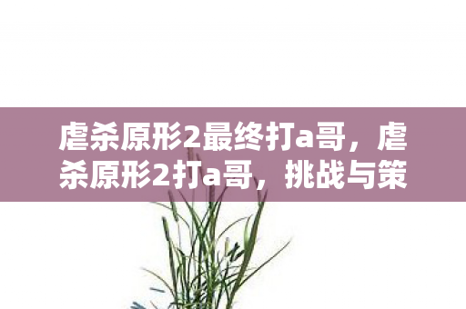 虐杀原形2最终打a哥，虐杀原形2打a哥，挑战与策略的深度剖析