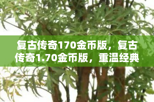 复古传奇170金币版，复古传奇1.70金币版，重温经典，金币版新体验