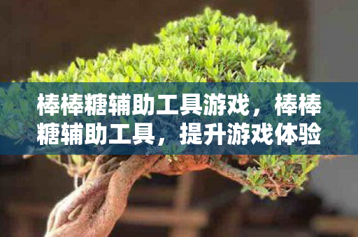 棒棒糖辅助工具游戏，棒棒糖辅助工具，提升游戏体验的得力助手