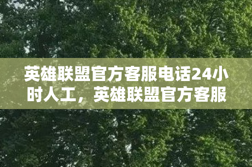英雄联盟官方客服电话24小时人工，英雄联盟官方客服，专业、高效、贴心的服务体验
