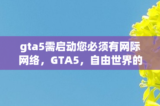 gta5需启动您必须有网际网络，GTA5，自由世界的无限可能