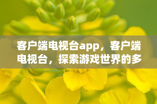 客户端电视台app，客户端电视台，探索游戏世界的多元体验