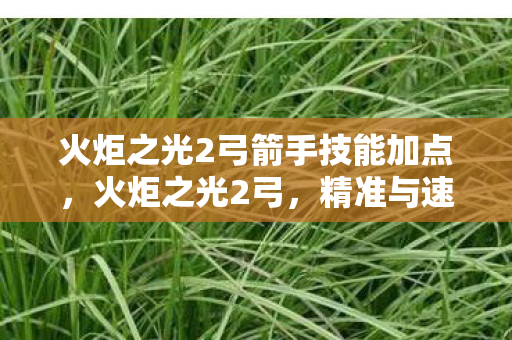 火炬之光2弓箭手技能加点，火炬之光2弓，精准与速度的完美结合