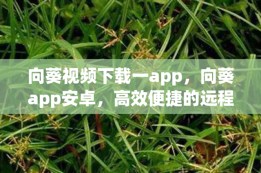 向葵视频下载一app,向葵app安卓,高效便捷的远程操控工具 向葵视频下载一app,向葵app安卓,高效便捷的远程操控工具