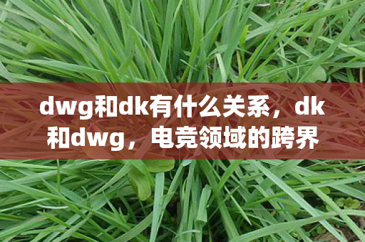 dwg和dk有什么关系，dk和dwg，电竞领域的跨界合作与共赢
