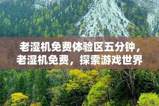 老湿机免费体验区五分钟,老湿机免费,探索游戏世界的另类选择 老湿机免费体验区五分钟,老湿机免费,探索游戏世界的另类选择