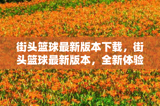 街头篮球最新版本下载,街头篮球最新版本,全新体验,竞技升级 街头篮球最新版本下载,街头篮球最新版本,全新体验,竞技升级