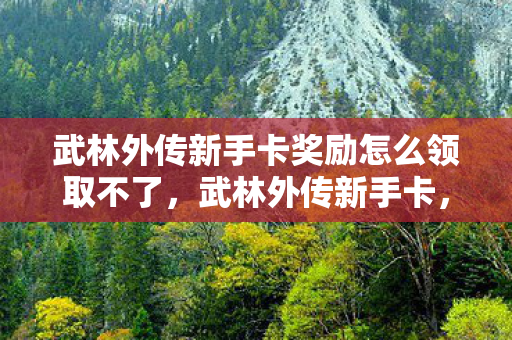 武林外传新手卡奖励怎么领取不了，武林外传新手卡，开启江湖之旅的钥匙