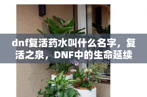 dnf复活药水叫什么名字,复活之泉,DNF中的生命延续 dnf复活药水叫什么名字,复活之泉,DNF中的生命延续