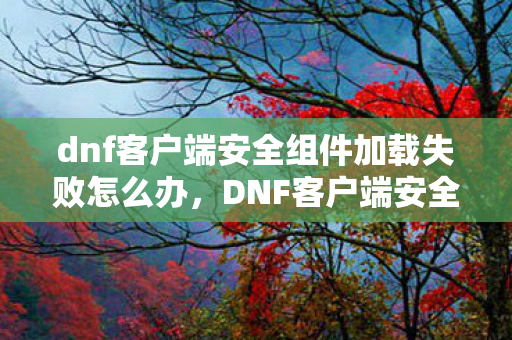 dnf客户端安全组件加载失败怎么办，DNF客户端安全组件加载失败，保障游戏安全的防线