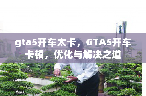 gta5开车太卡，GTA5开车卡顿，优化与解决之道