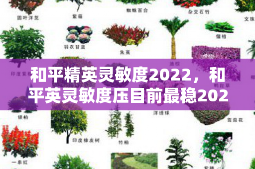 和平精英灵敏度2022，和平英灵敏度压目前最稳2021，打造极致游戏操控体验