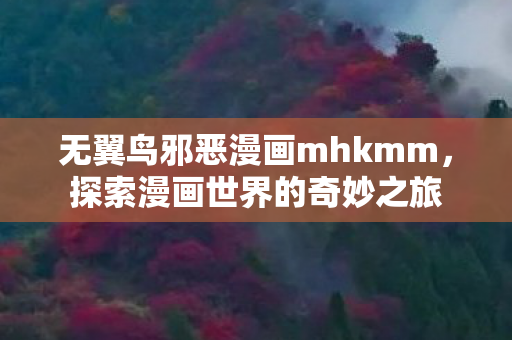 无翼鸟邪恶漫画mhkmm，探索漫画世界的奇妙之旅