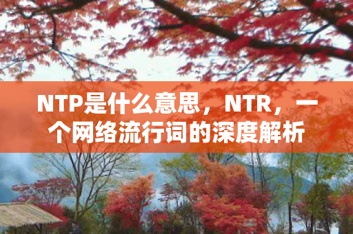 NTP是什么意思，NTR，一个网络流行词的深度解析